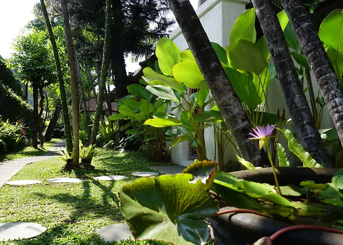 House Hotel 3*